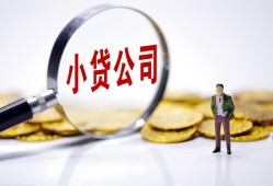 西安29个人借贷-西安29小额贷款官网-西安29身份证贷款