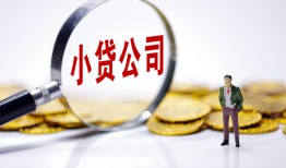 西安29个人借贷-西安29小额贷款官网-西安29身份证贷款