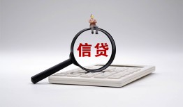 西安29个人抵押贷款-西安29哪里可以民间借贷-西安29快速小额贷款